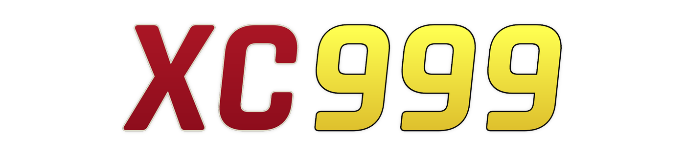 xc999 Logo